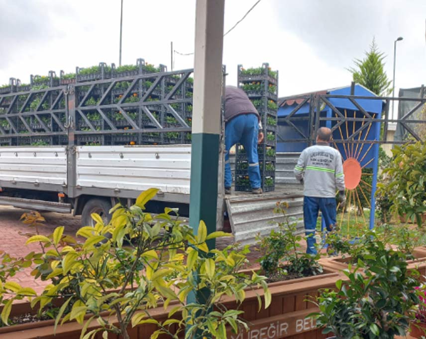 Adana Pikap Nakliye - Aziz Nakliye